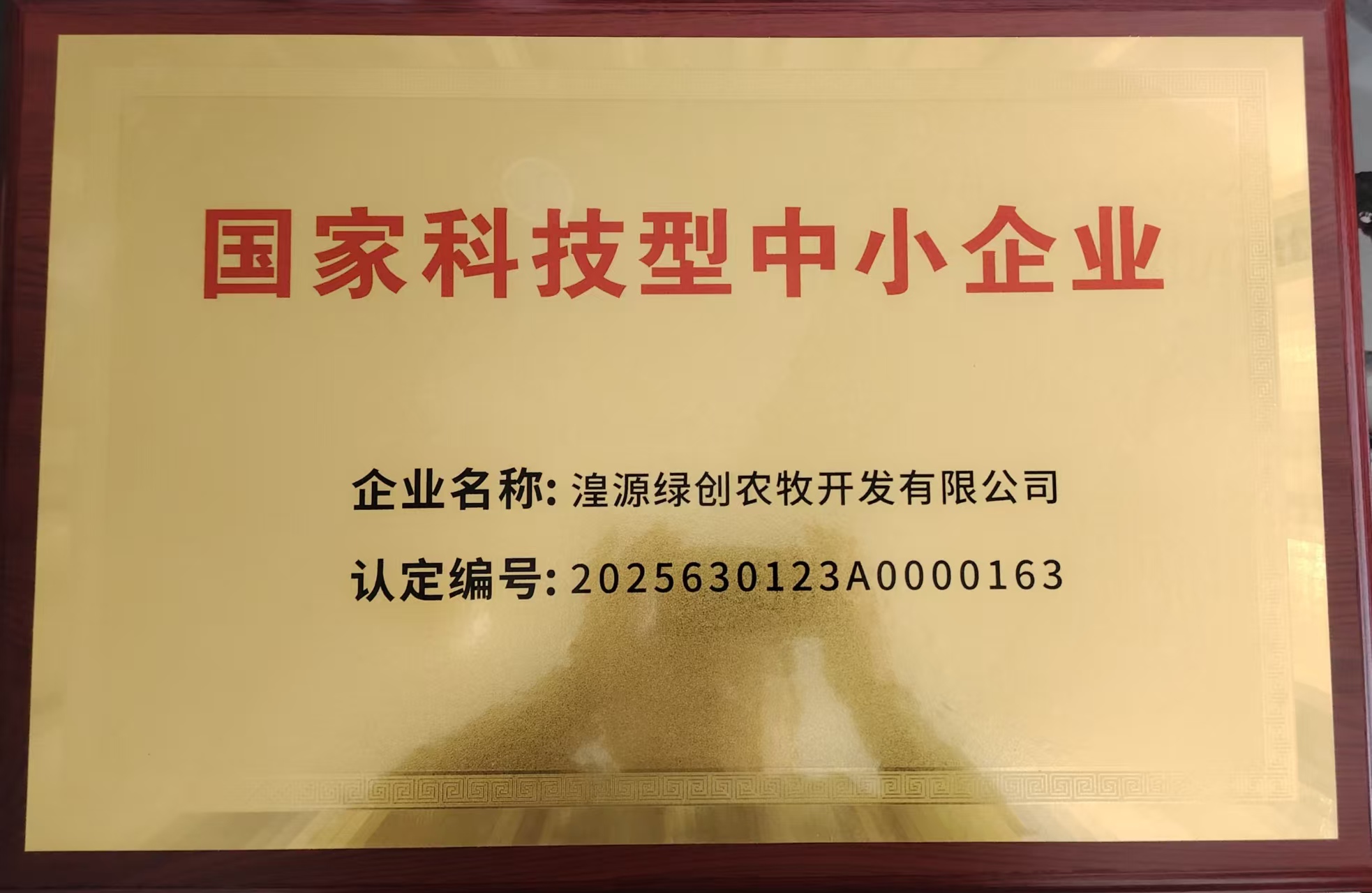 国家科技型中小企业